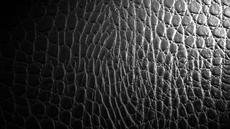 Textured Leather Surface — Black