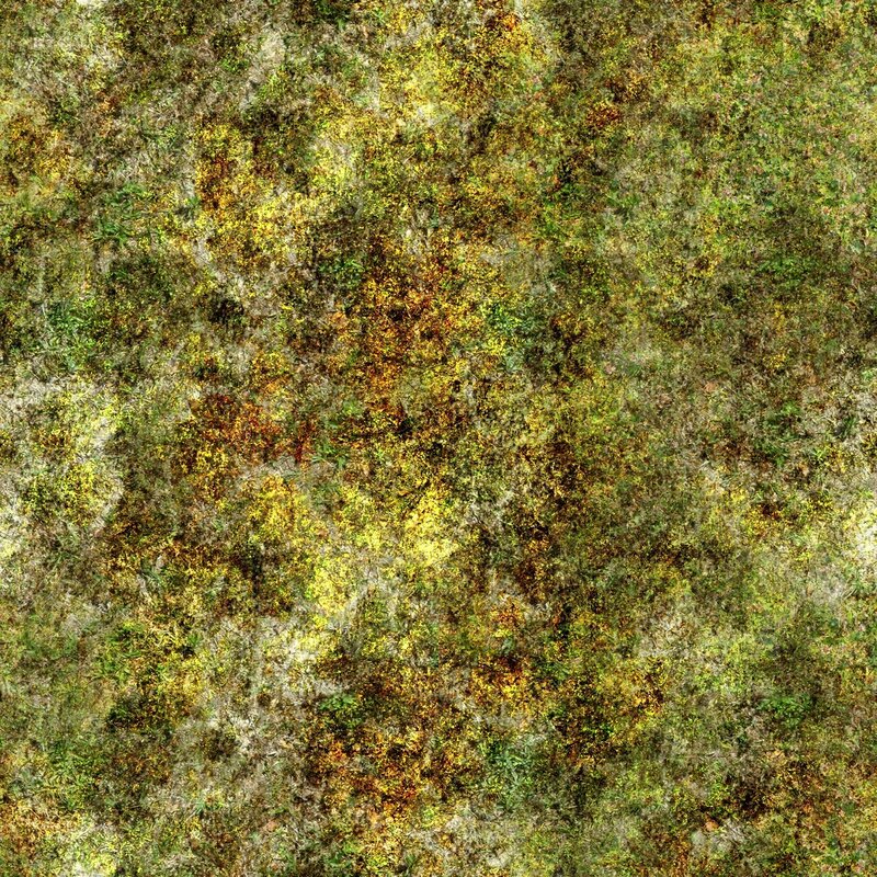 textured mossy surface
