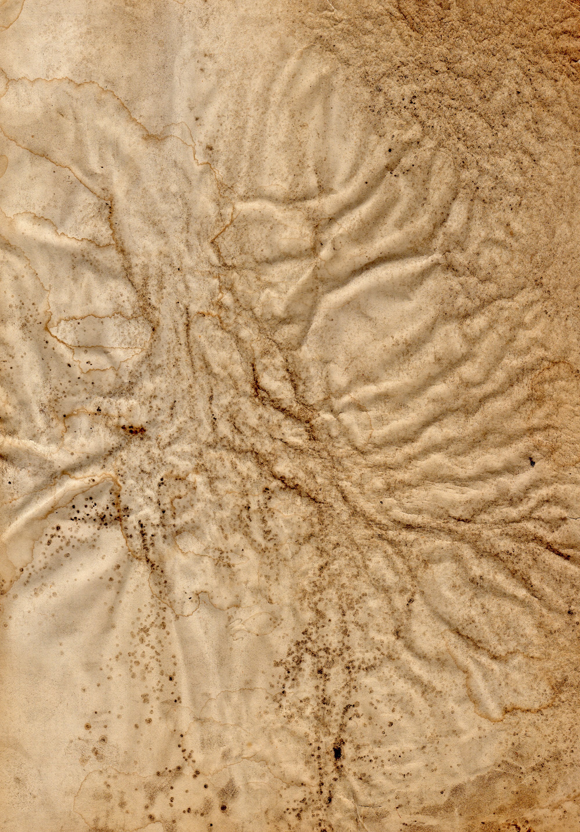 textured paper surface
