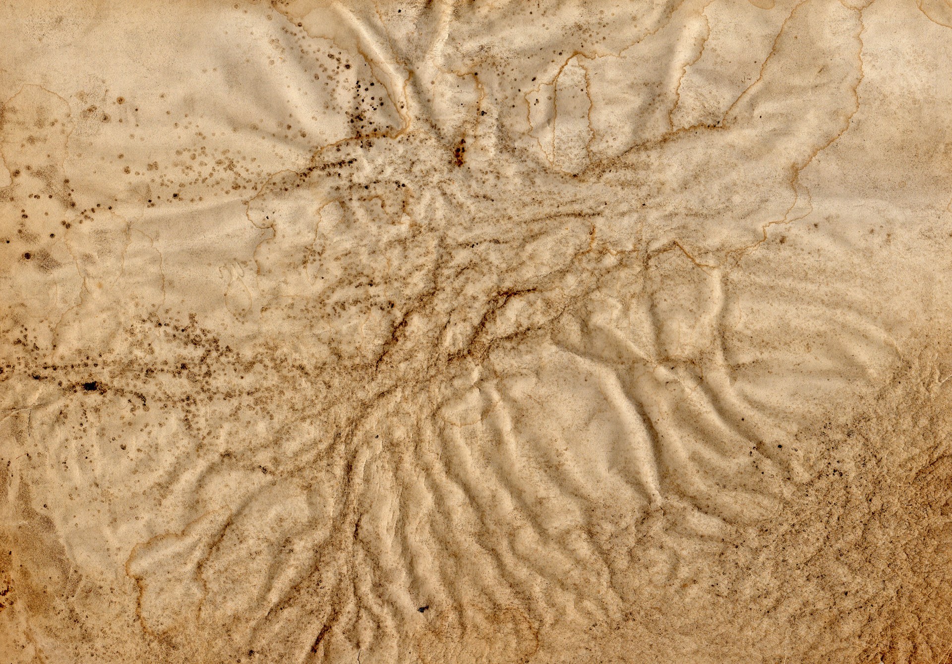 textured paper surface