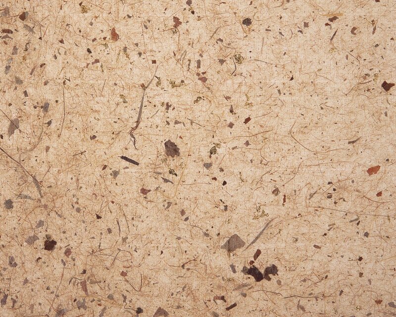 textured paper with natural fibers
