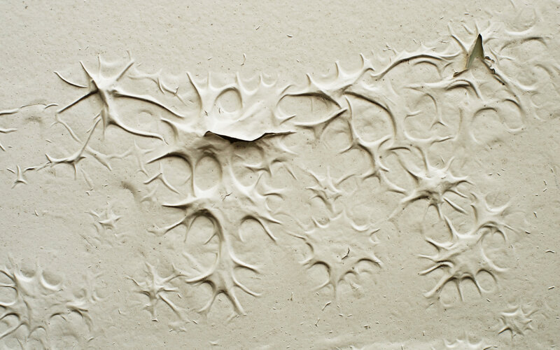 textured plaster surface