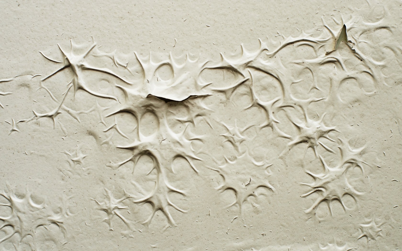 textured plaster surface