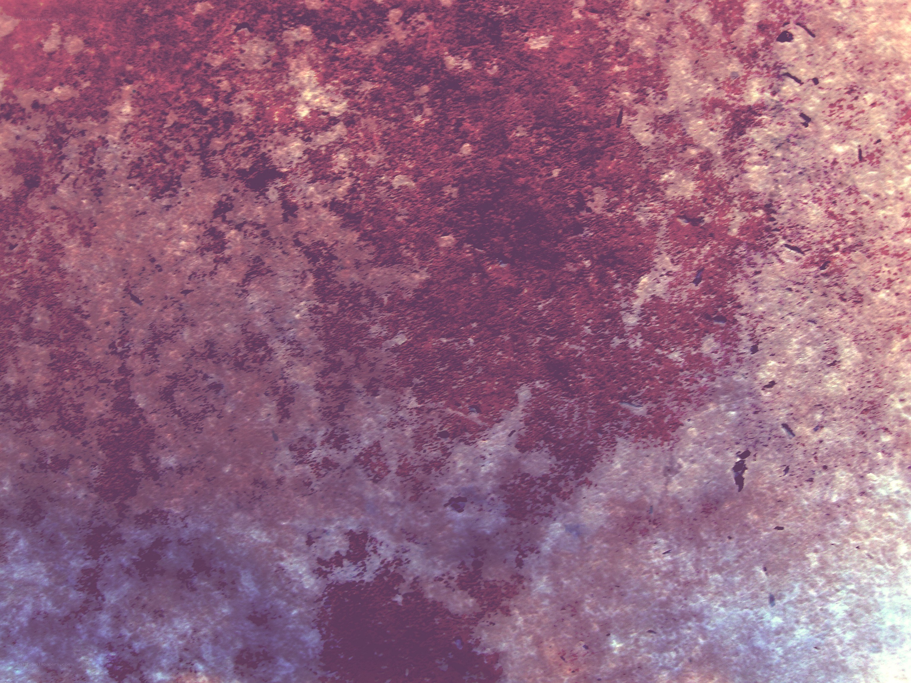 textured purple surface