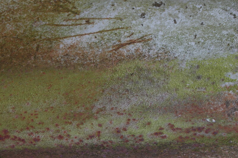 textured surface with moss and rust
