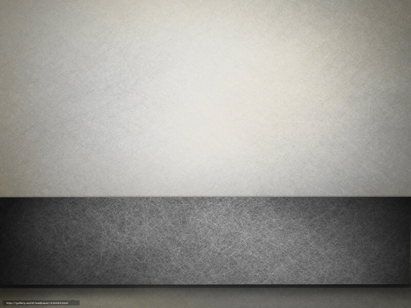 Textured Wall Surface — Gray, Neutral