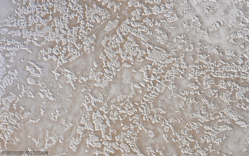 Textured Wall Surface — White