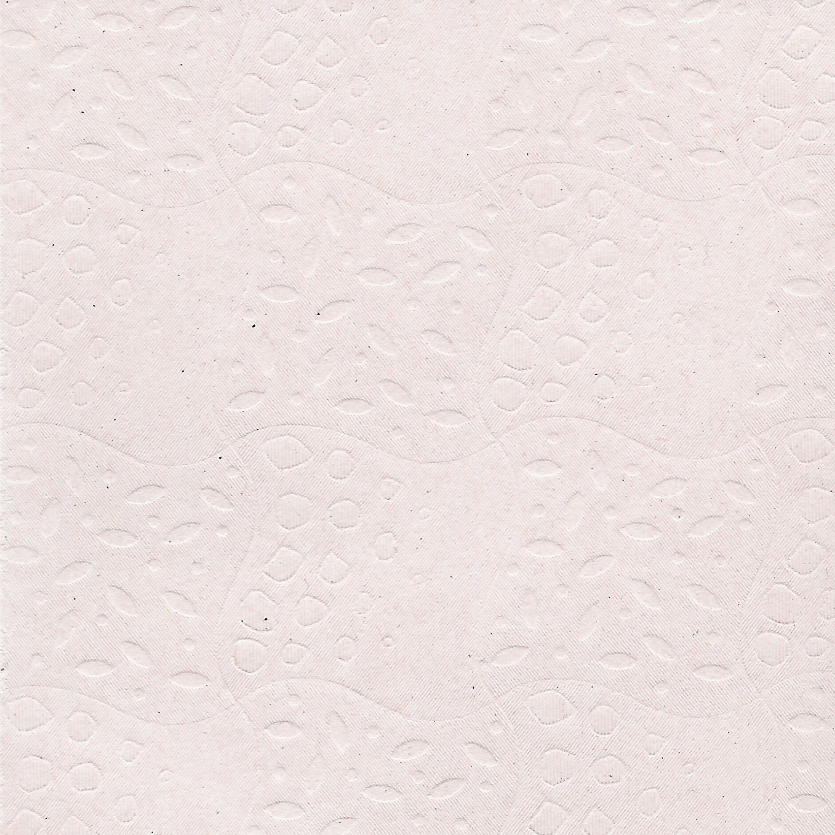textured white paper surface