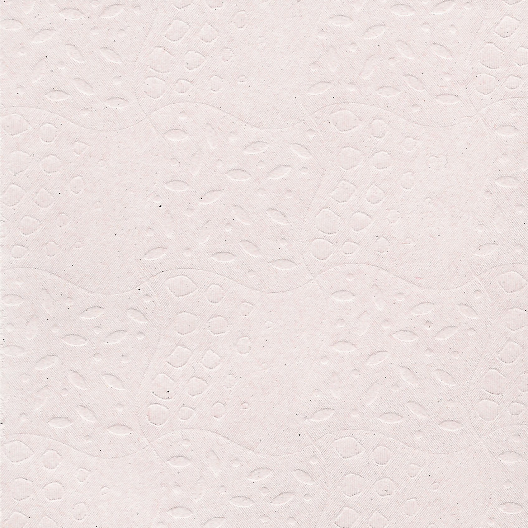 textured white paper surface