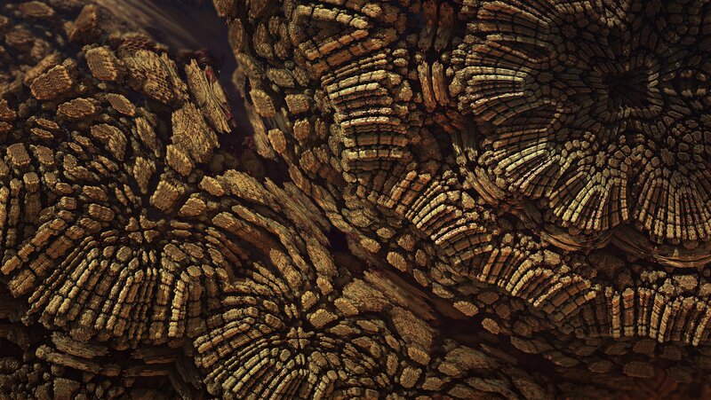 Textured Wood Surface