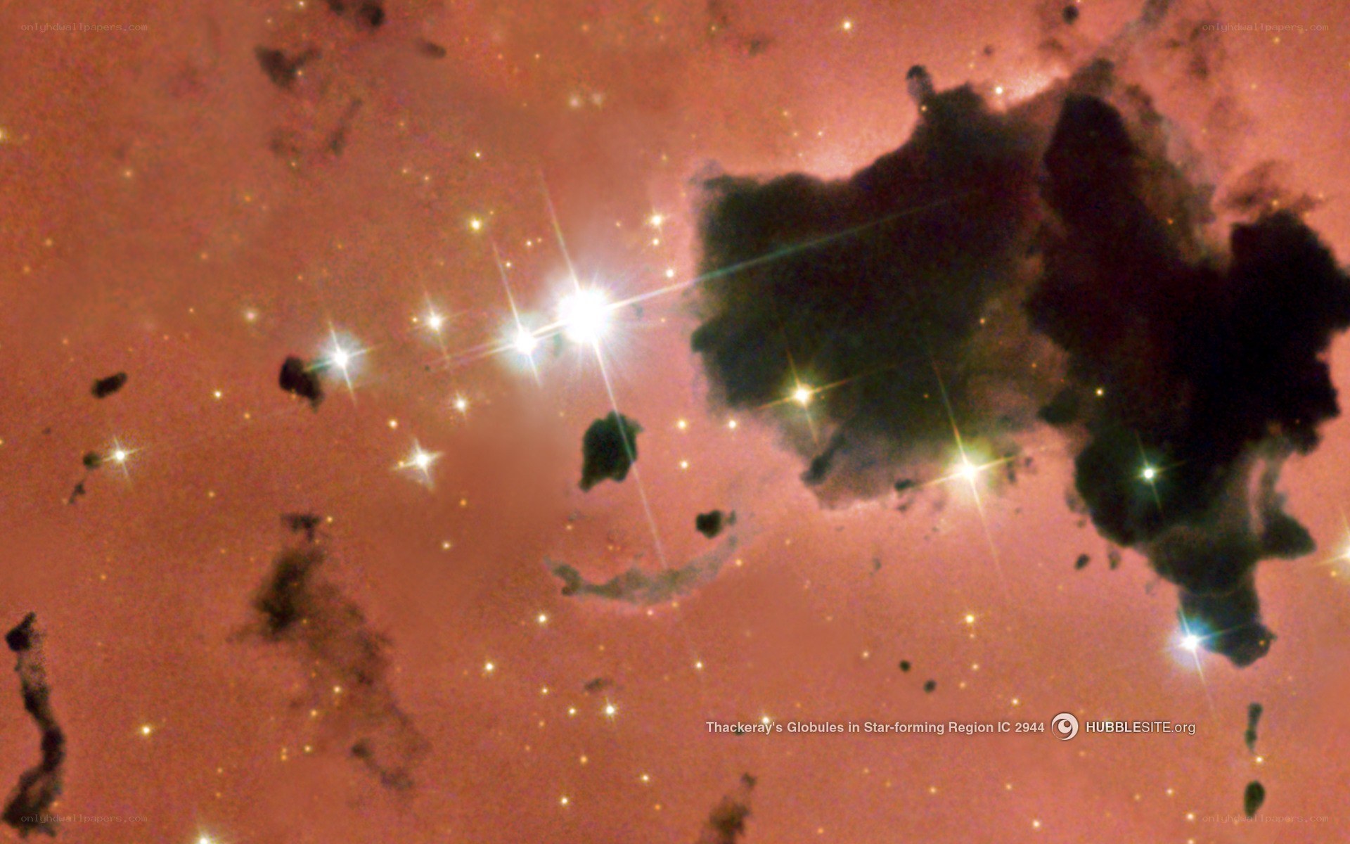 Thackeray's Globules in IC 2944