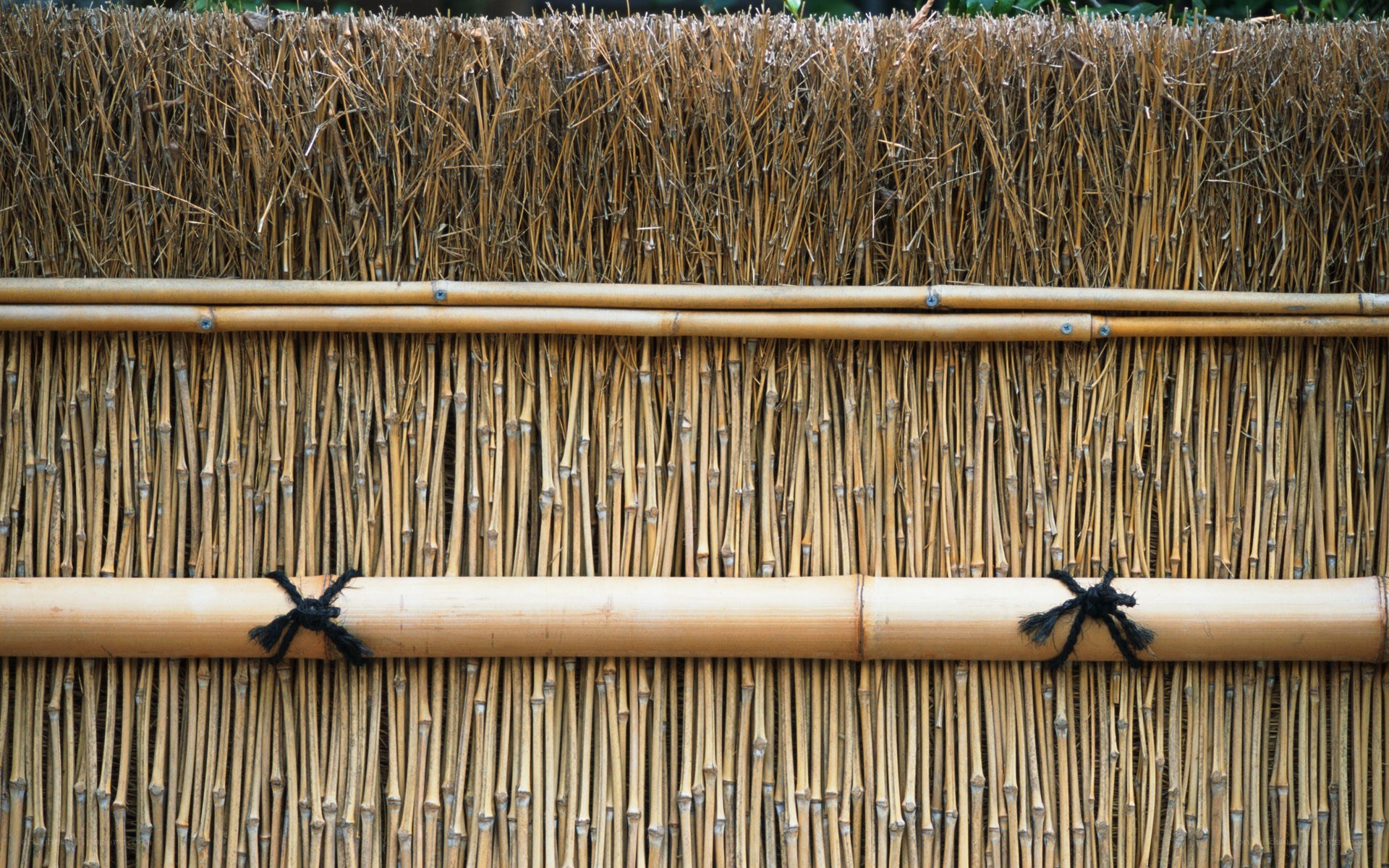 thatched bamboo wall