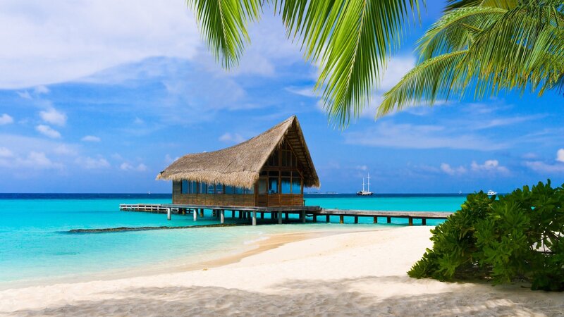 Thatched Beach Hut — Blue, Serene, Afternoon, Photograph, Palm Tree, Ocean