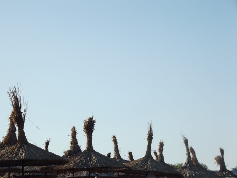 Thatched Beach Umbrellas