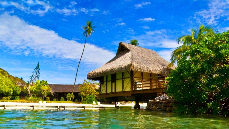 Thatched Bungalow on Water — Blue, Serene, Afternoon, Photograph, Palm Tree, Ocean, Sky