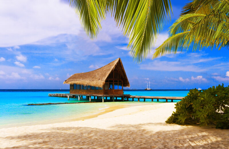 Thatched Bungalow on Water — Blue, Serene, Afternoon, Photograph, Palm Tree