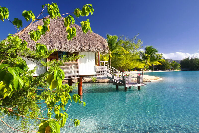 Thatched Bungalow on Water — Blue, Serene, Afternoon, Photograph, Palm Trees
