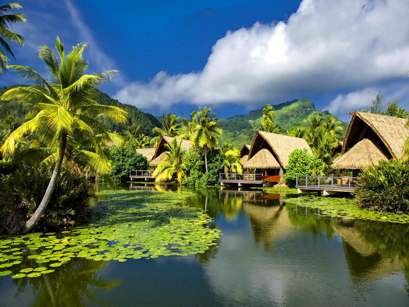 Thatched Bungalows by Pond