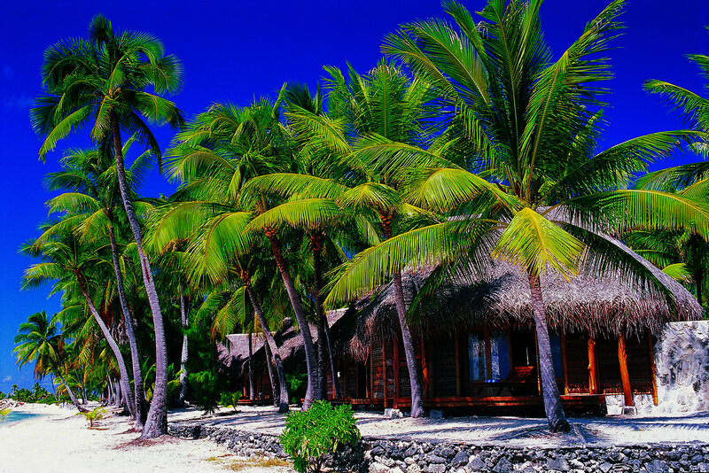 Thatched Bungalows on Beach — Blue, Tropical