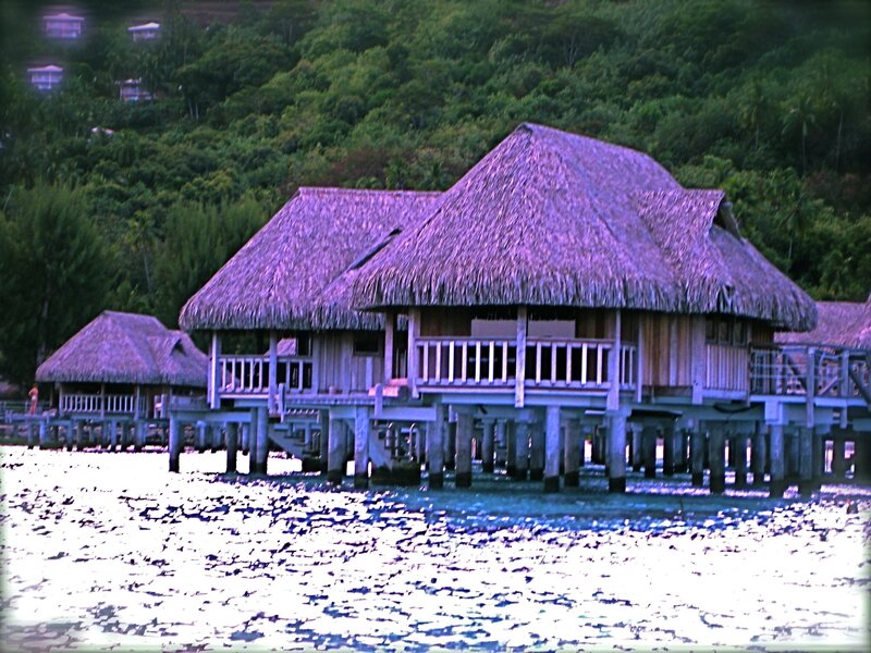 Thatched Bungalows on Water — Green, Serene