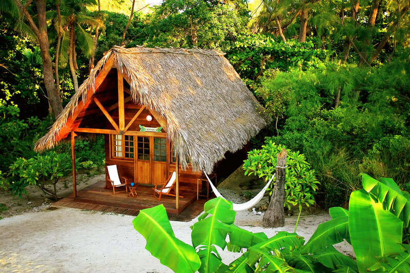 Thatched Cabin in Jungle
