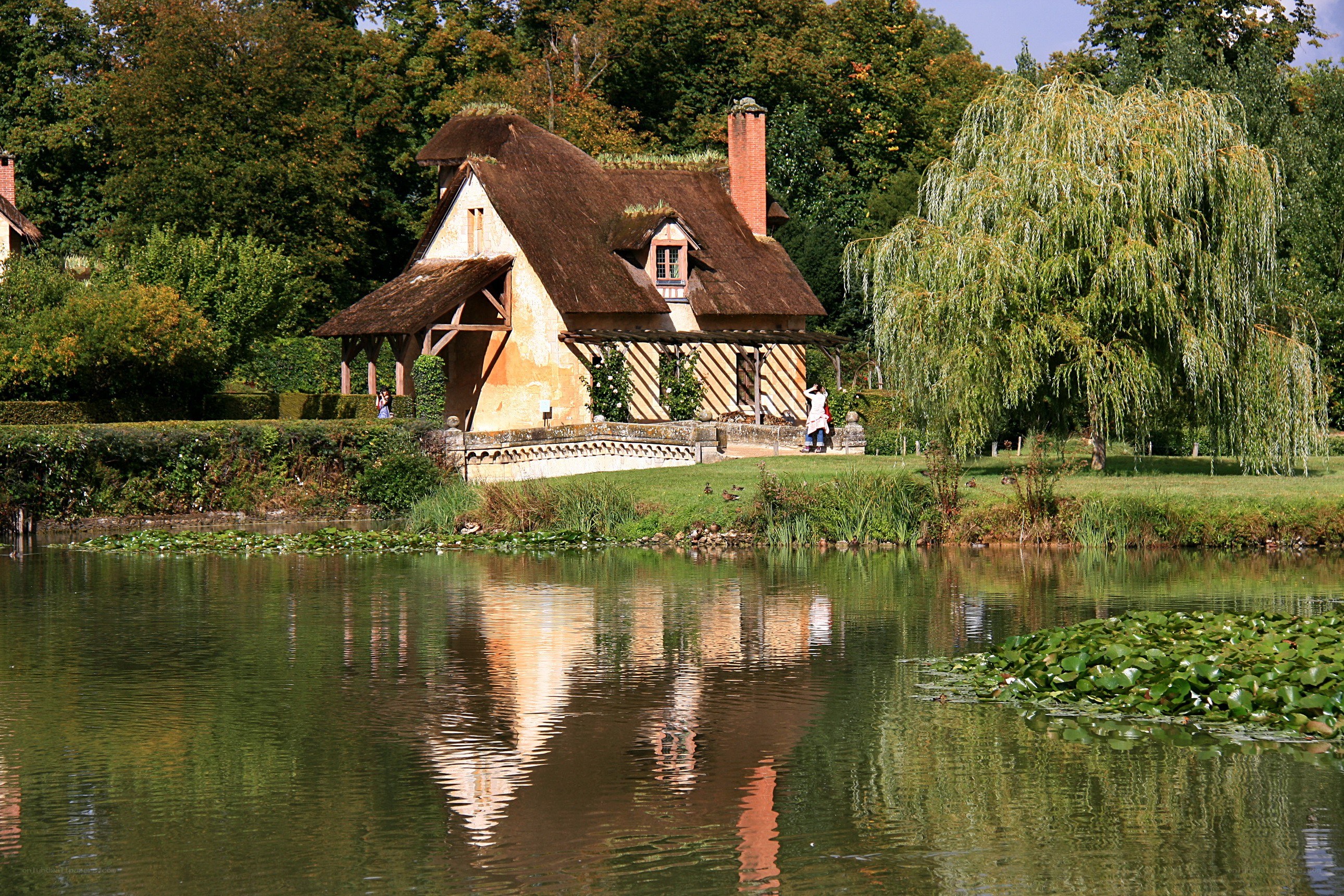Thatched cottage by a pond