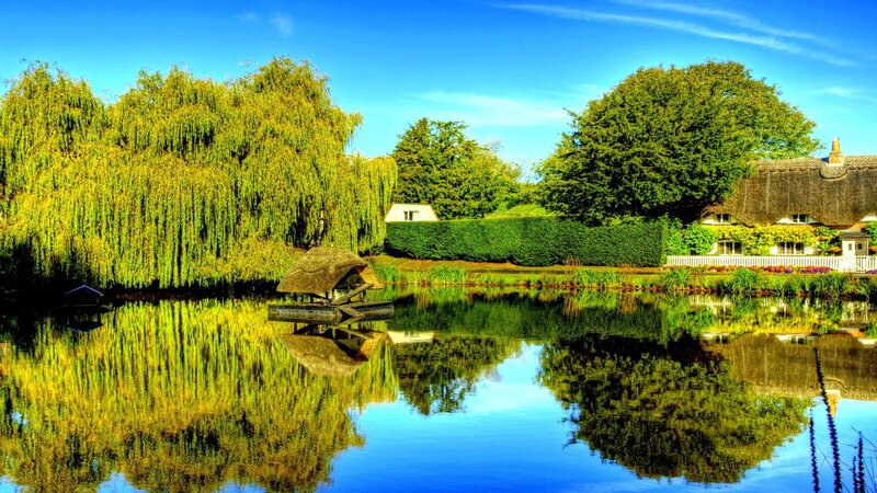 Thatched Cottage by Pond — Blue, Serene
