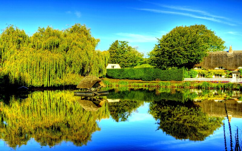 Thatched Cottage by Pond — Blue