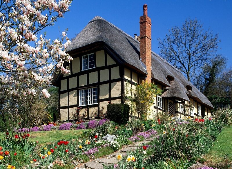 Thatched Cottage Garden — Blue, Serene