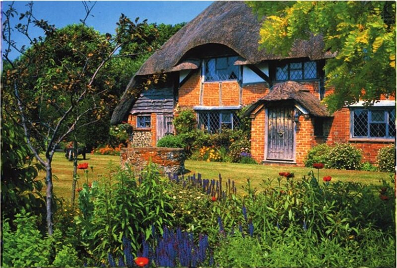Thatched Cottage Garden — Green, Serene, Afternoon, Photograph, Trees