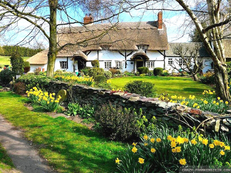Thatched Cottage Garden — Green, Serene, Spring, Photograph, Daffodils