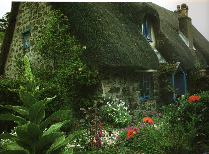 Thatched Cottage Garden — Green, Serene, Spring, Photograph