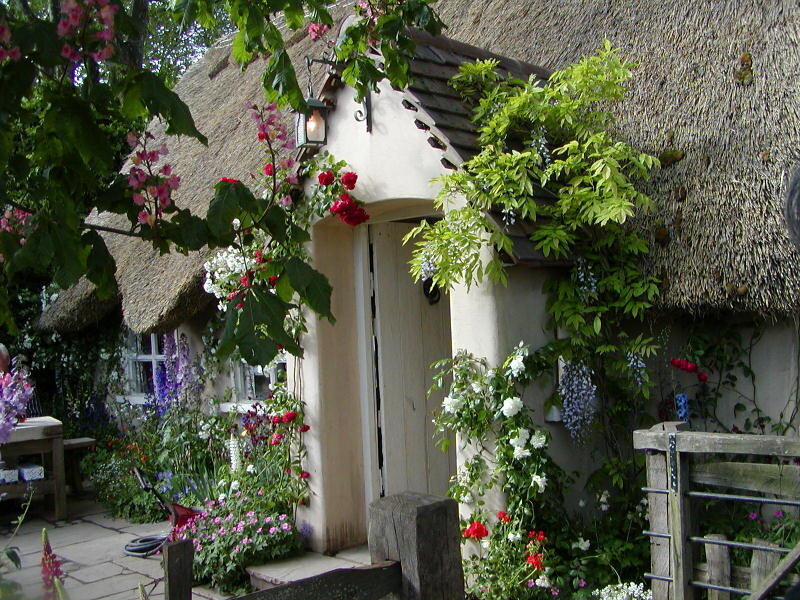 Thatched Cottage Garden — Green, Serene, Spring