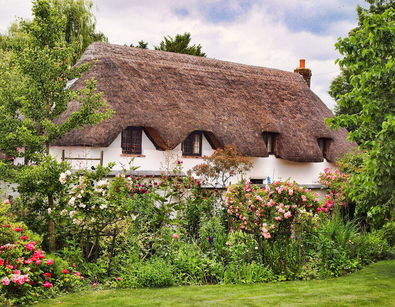 Thatched Cottage Garden — Green, Serene, Summer, Photograph, Flowers