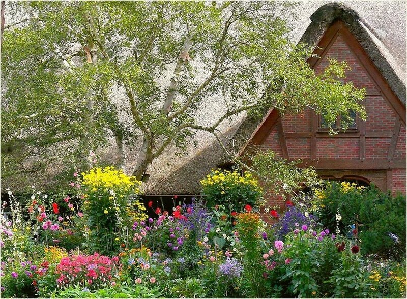 Thatched Cottage Garden — Green, Serene, Summer