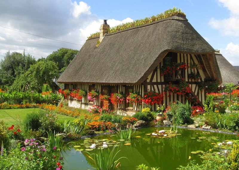 Thatched Cottage Garden — Green