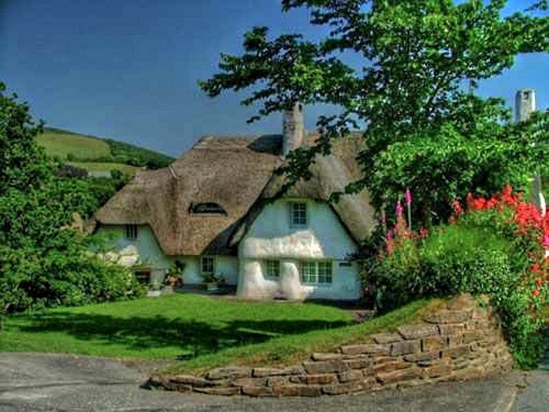 Thatched Cottage — Green, Serene, Afternoon, Photograph, Tree
