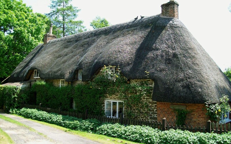 Thatched Cottage — Green, Serene, Afternoon, Photograph, Trees, Fence