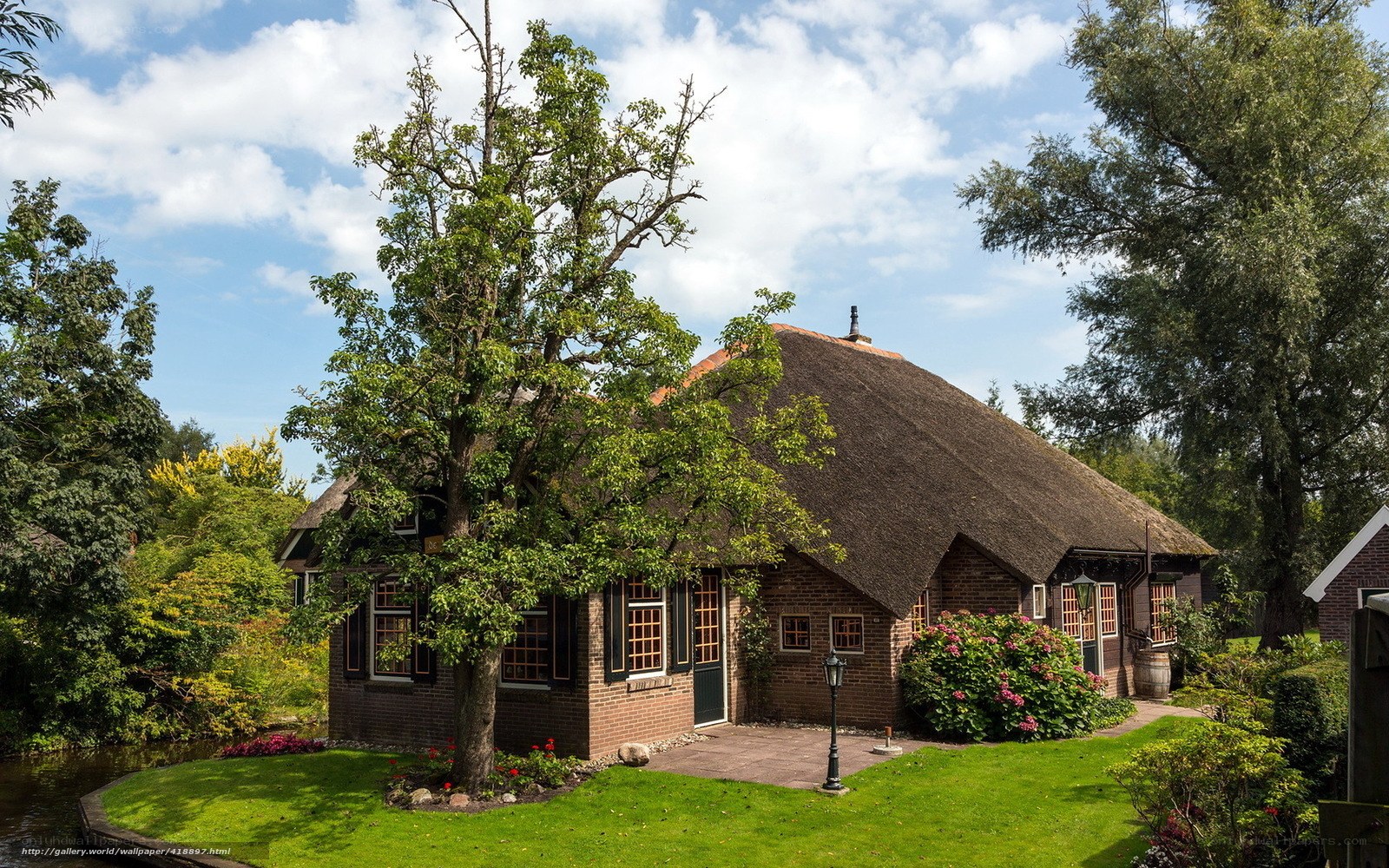 Thatched cottage in a Dutch village