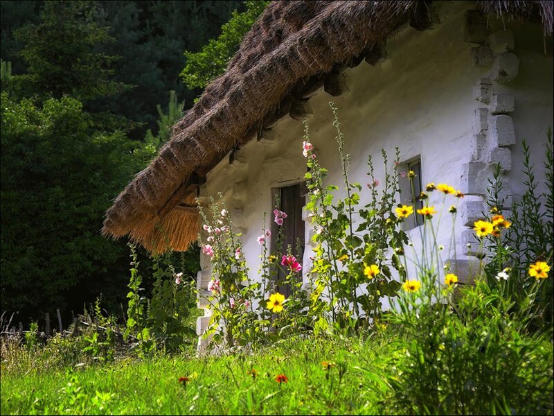 Thatched cottage in a flower garden