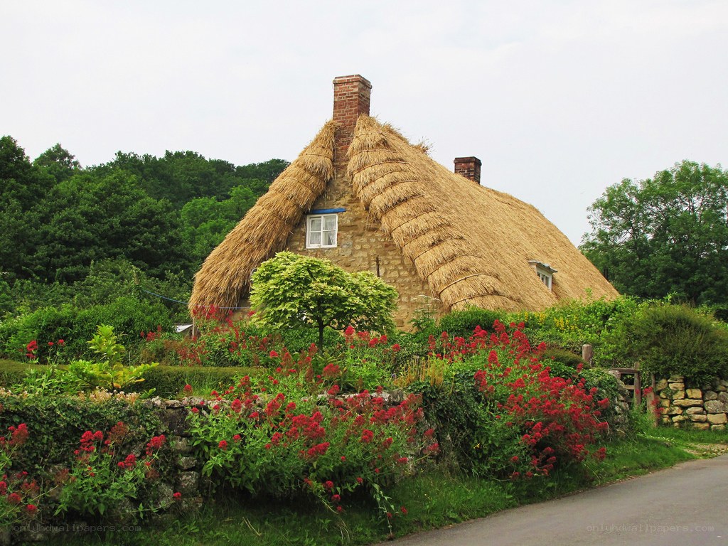 Thatched cottage in a garden