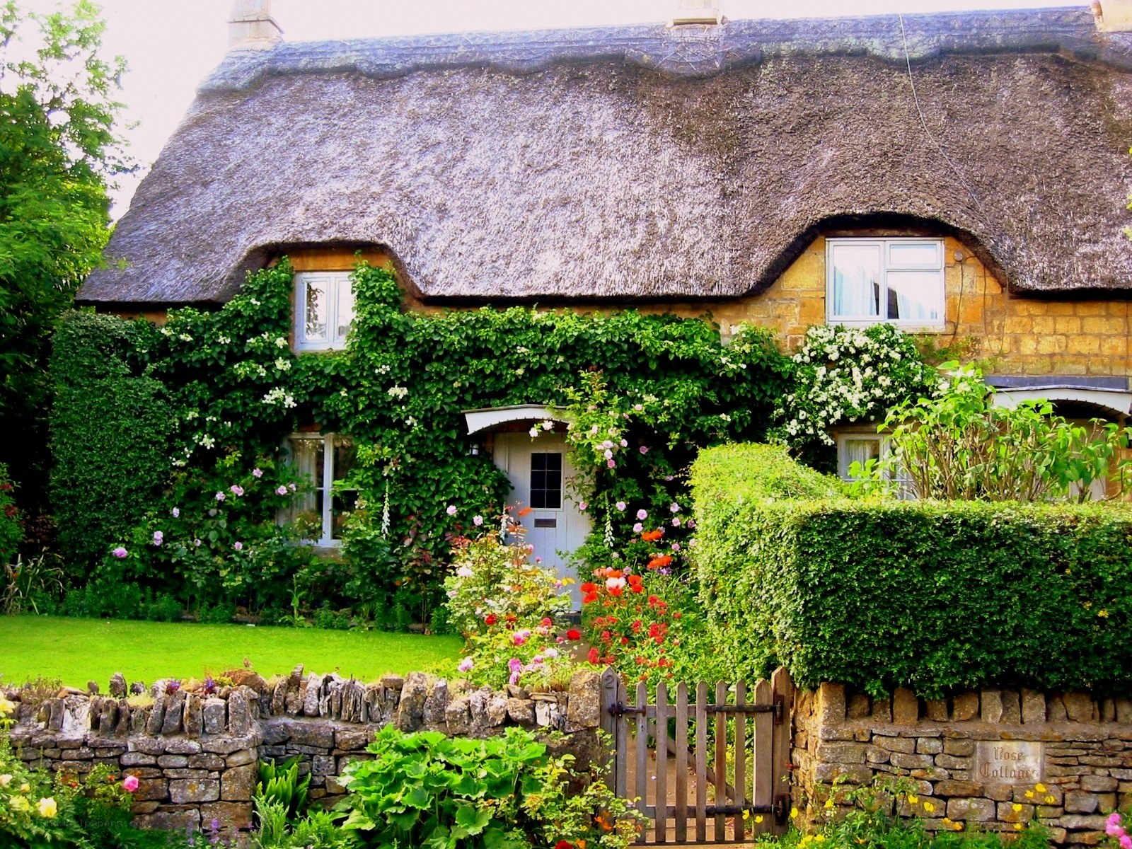 Thatched cottage in a garden