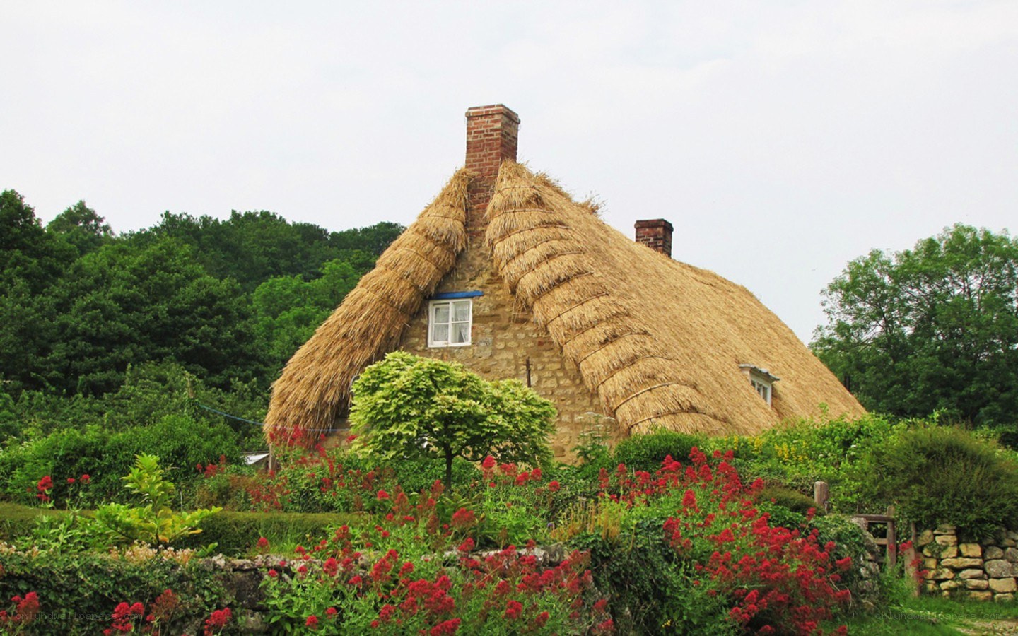 Thatched cottage in a garden