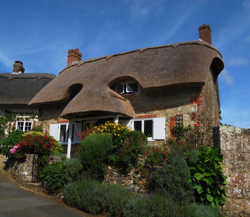 Thatched cottage in a village