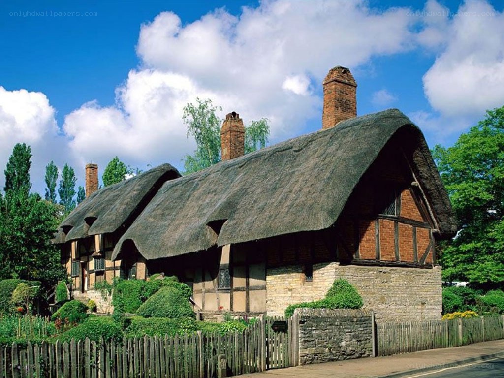 Thatched cottage in a village