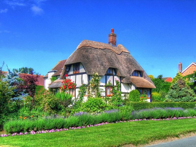 Thatched cottage in a village
