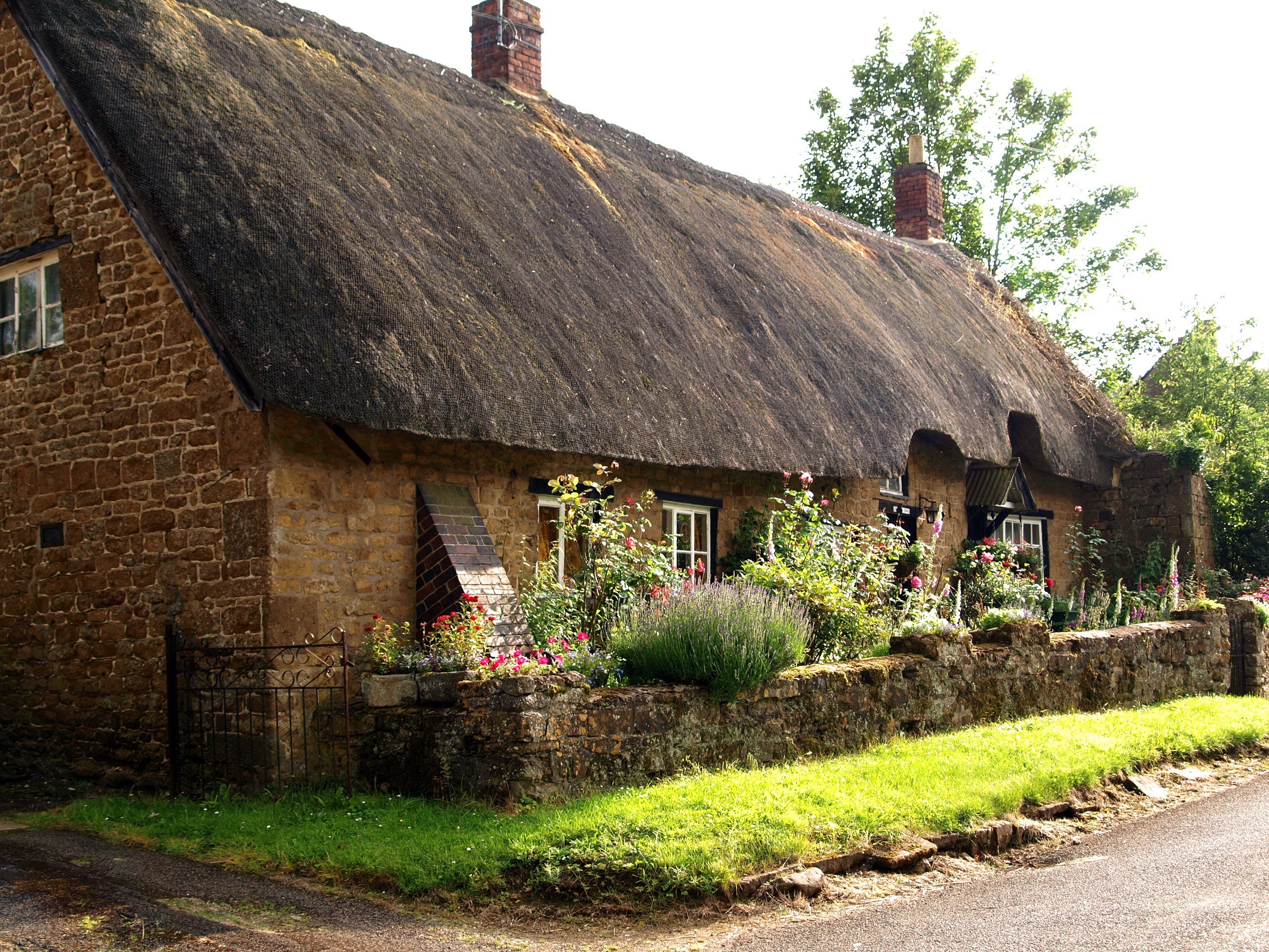 Thatched cottage in a village