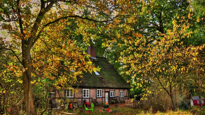 Thatched Cottage in Autumn — Green, Serene