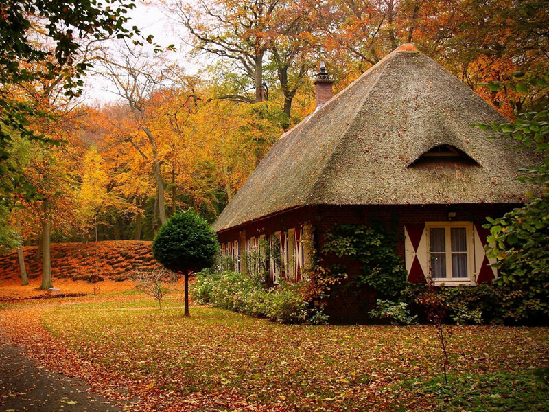 Thatched Cottage in Autumn — Orange, Serene, Photograph, Fallen Leaves, Trees