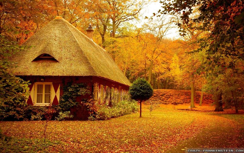 Thatched Cottage in Autumn — Orange, Serene, Photograph, Forest, Fallen Leaves